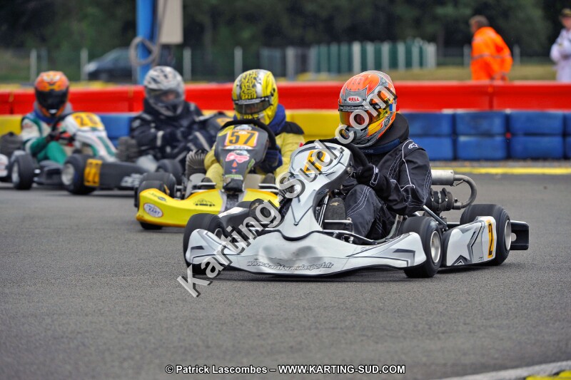 DSC_ (770).jpg